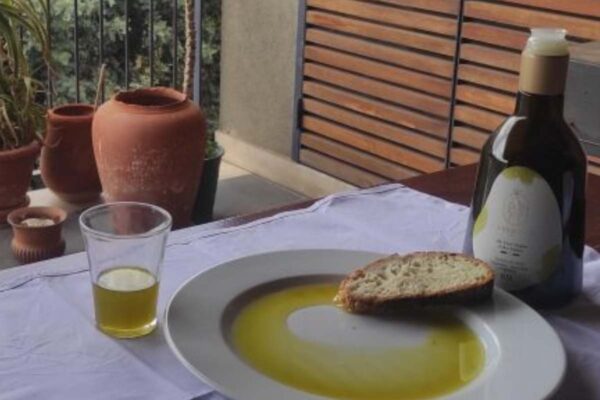 Tour e degustazione di olio e vino a Balestrate